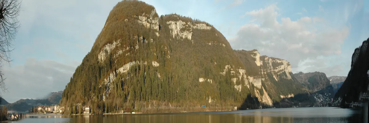 Image Couvreur shingle Ain