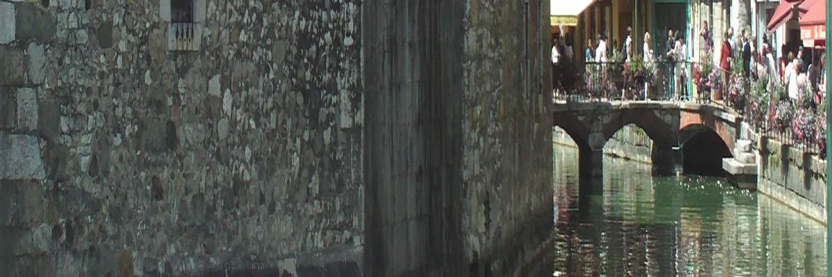 image-couvreur-shingle-annecy.webp Image Couvreur shingle Annecy