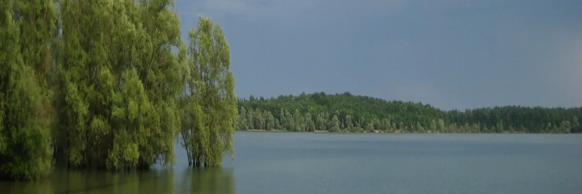 Image Couvreur shingle Aube