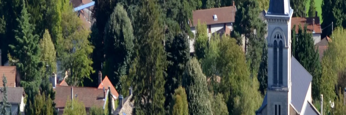 image-couvreur-shingle-beynost.webp Image Couvreur shingle Beynost