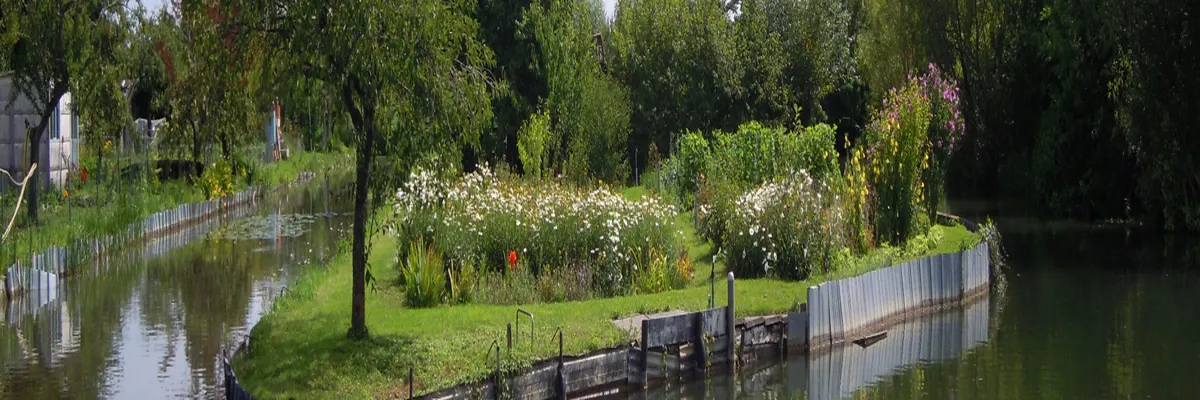 Image Couvreur shingle Cher