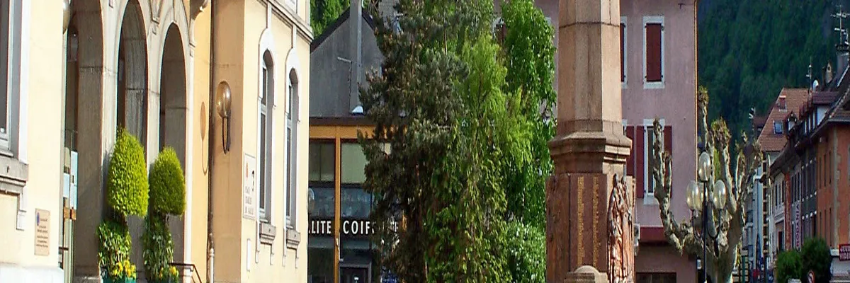 Image Couvreur shingle Cluses