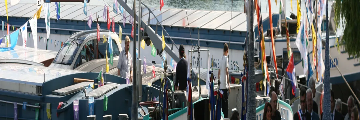 Image Couvreur shingle Conflans-Sainte-Honorine