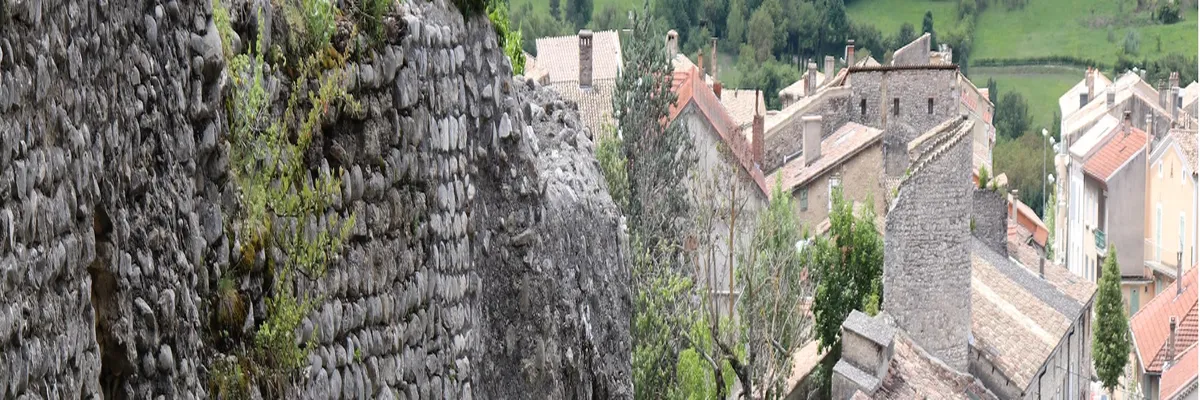 image-couvreur-shingle-die.webp Image Couvreur shingle Die