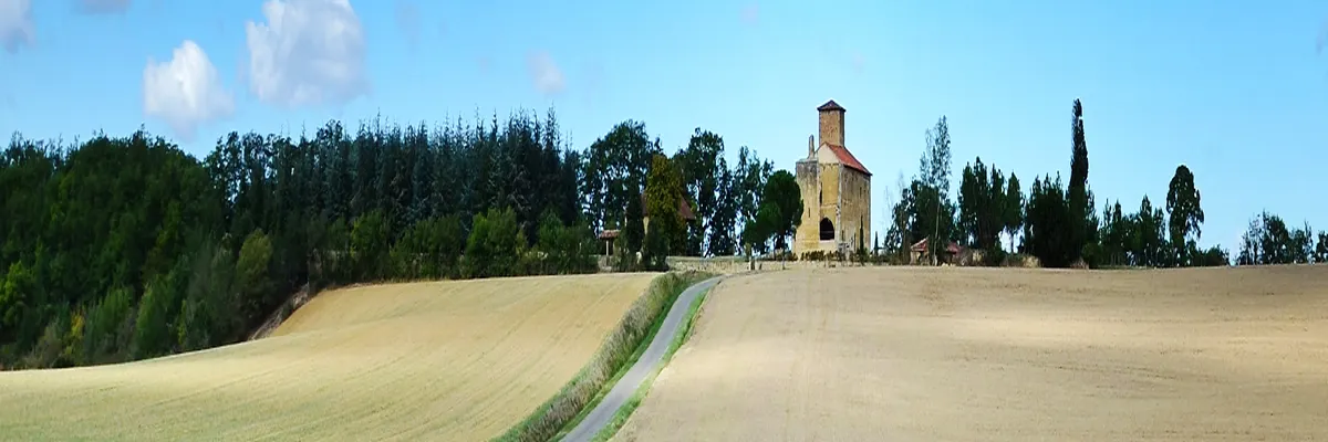 Image Couvreur shingle Gers