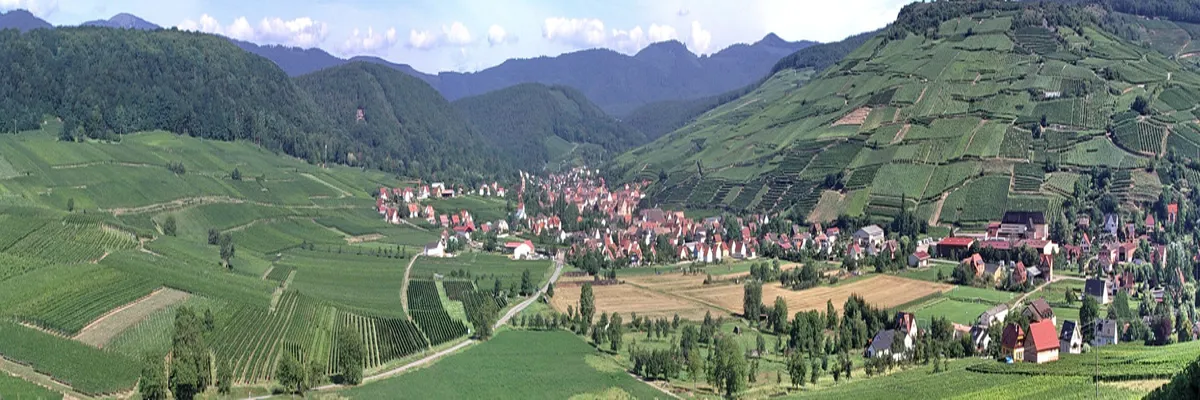 Image Couvreur shingle Grand Est