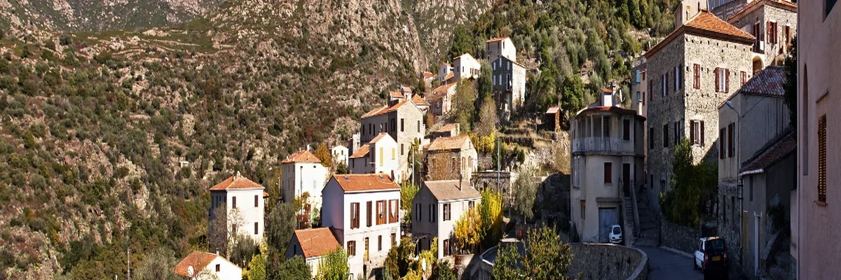 Image Couvreur shingle Haute-Corse