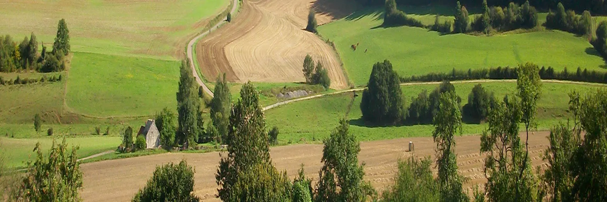 Image Couvreur shingle Haute-Marne