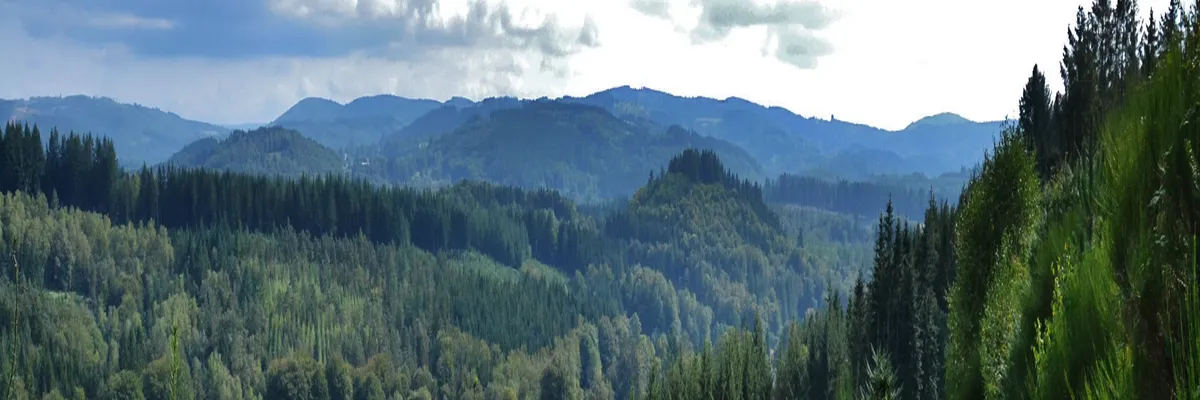 Image Couvreur shingle Haute-Vienne