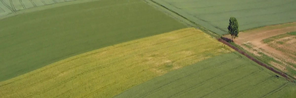 Image Couvreur shingle Hauts-de-France