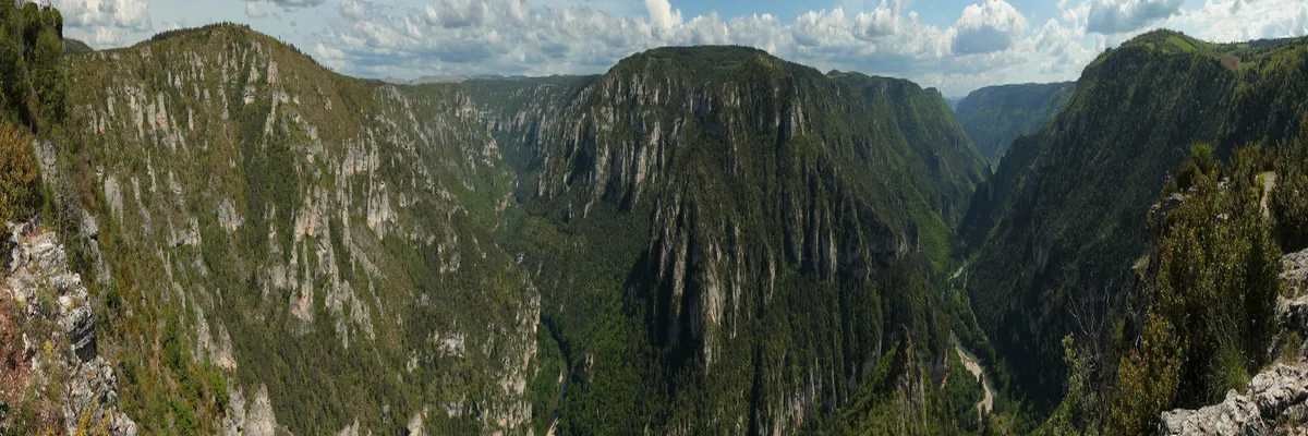 Image Couvreur shingle Lozère