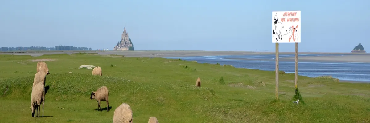 Image Couvreur shingle Manche