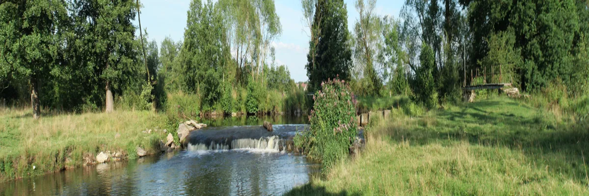 Image Couvreur shingle Meurthe-et-Moselle