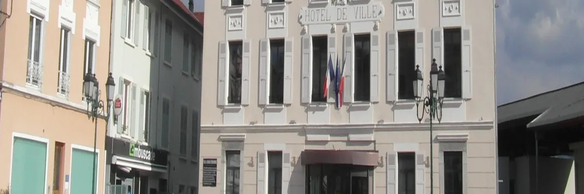 Image Couvreur shingle Moirans