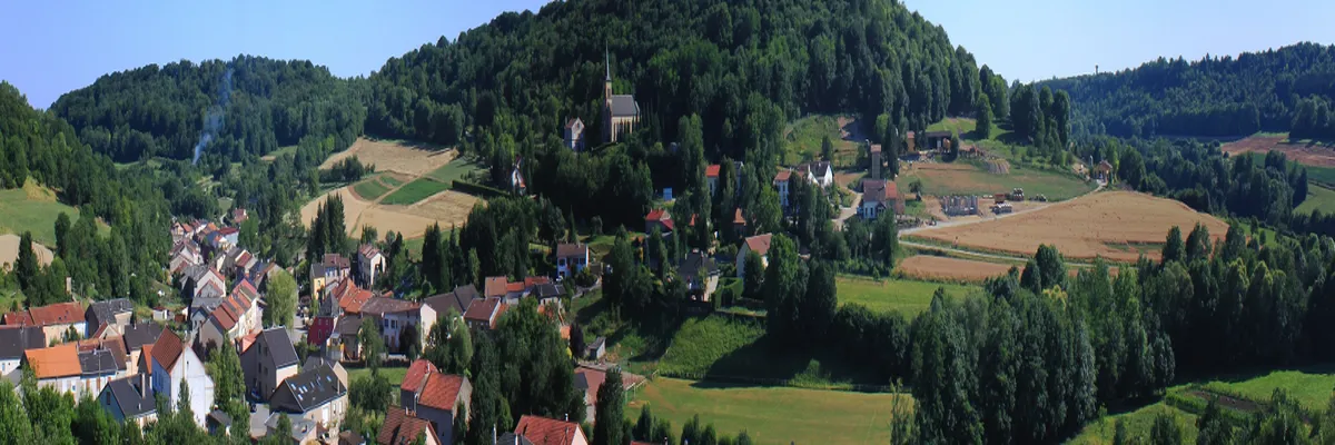 Image Couvreur shingle Moselle