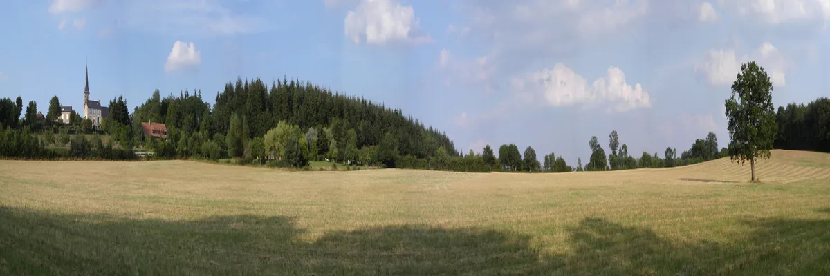 Image Couvreur shingle Orne