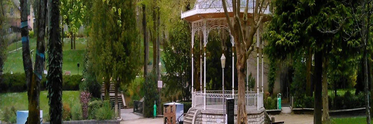 Image Couvreur shingle Oyonnax