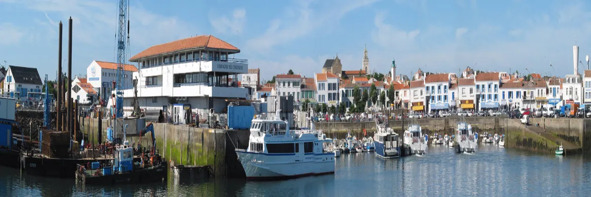 Image Couvreur shingle Pays de la Loire