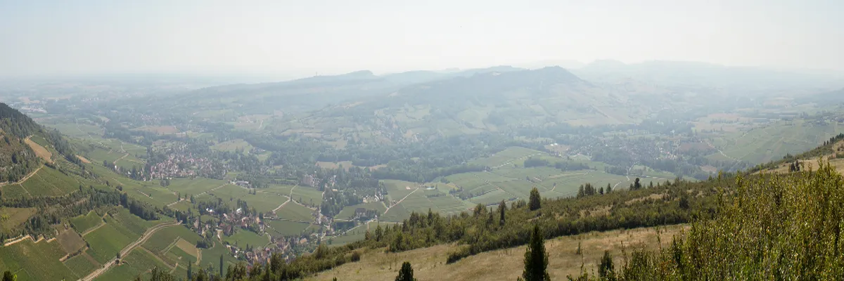 image-couvreur-shingle-saone-et-loire.webp Image Couvreur shingle Saône-et-Loire