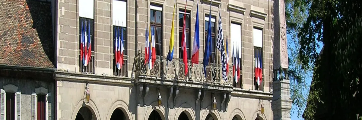 Image Couvreur shingle Thonon-les-Bains