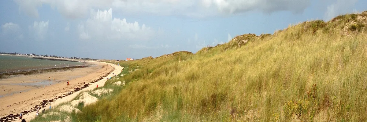 Image Couvreur shingle Vendée