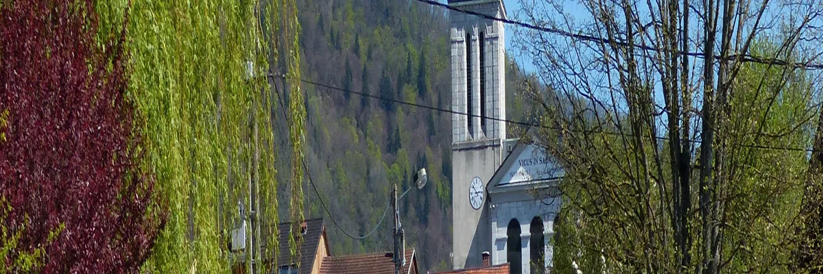 Image Couvreur shingle Viuz-en-Sallaz