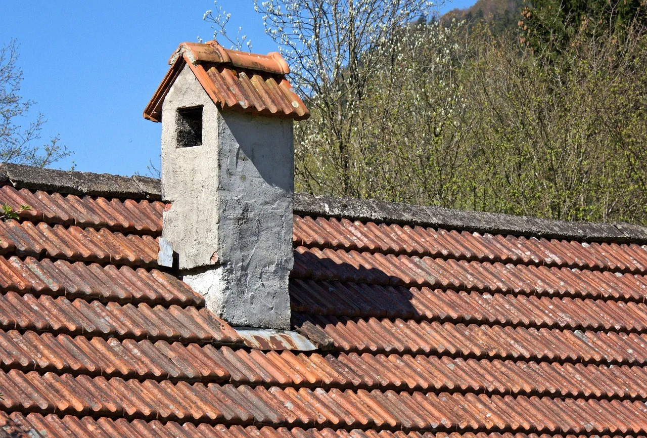 Image couvreur shingle 6