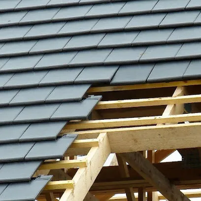 Image de Alaric Couverture