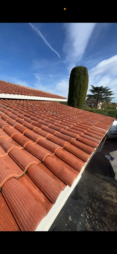 Image de Allo Rénovation ( Couverture Charpente Fenêtre de toit zinguerie isolation des combles)