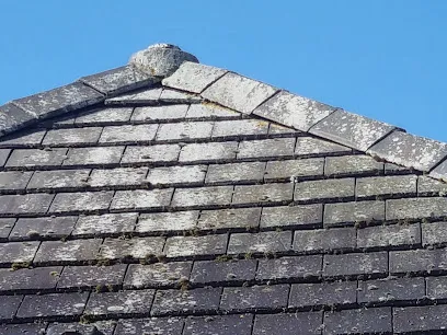 Image de Amf couverture