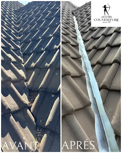 Image de Artemis Couverture