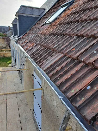 Image de Artisan couverture Beloni