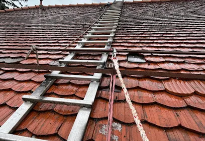 Image de artisan du Léman sarl toiture réparation fuite canton Genève