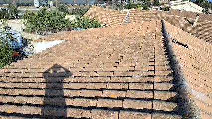 Image de Bassard couverture