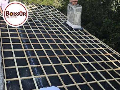 Image de Boissur Sud Toiture : Couvreur, rénovation toiture, traitement charpente bois termites et xylophages à Antibes