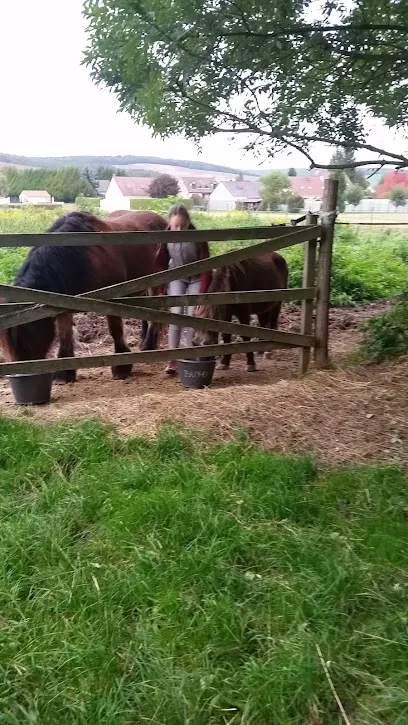 Image de Bourdon Olivier