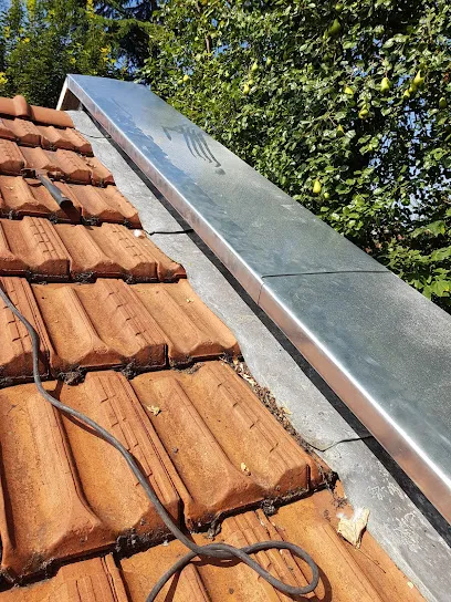 Image de BOUTHORS couverture tuiles zinc ardoise