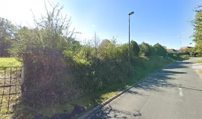 Image de Brun Couverture