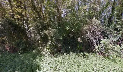 Image de Cazalot Toiture