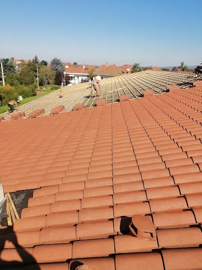 Image de COELHO NELSON