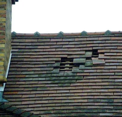 Image de Compagnon HG