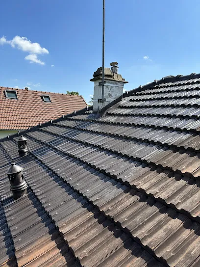 Image de Couverture beenen