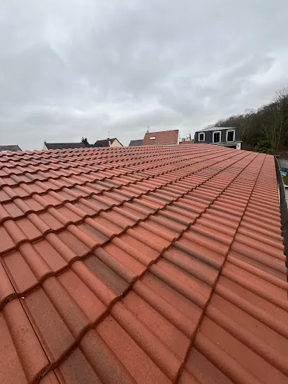 Image de COUVERTURE ROBIN