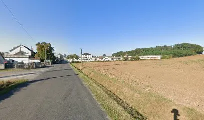 Image de couverture Roy