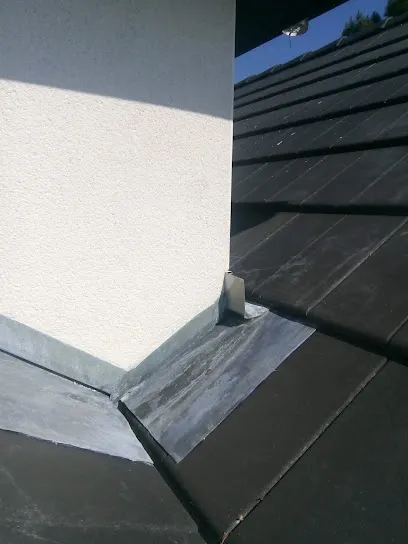 Image de Couverture Zinguerie Mickael Leray