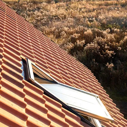 Image de Couvreur Coulanges 58 - Demoussage Toiture - Entretien et Reparation - Peinture