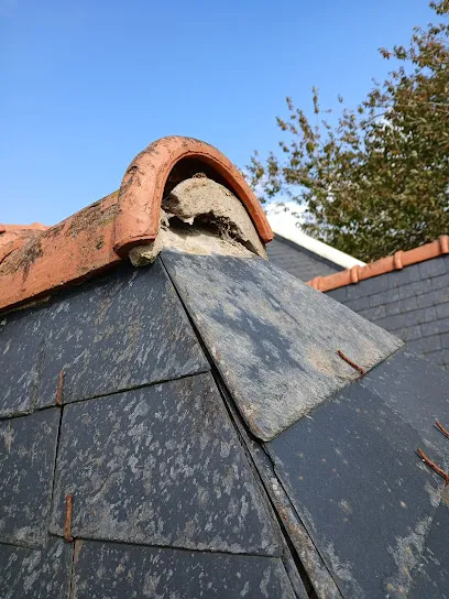 Image de Couvreur Protect Toit Couverture