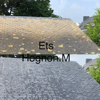 Image de Couvreur Vannes Hognon.M Nettoyage toiture façade
