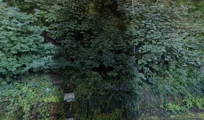 Image de Couvreur Villerupt - Master Elégance