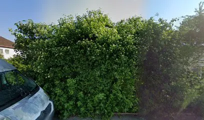 Image de Damour Patrick